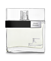 Ferragamo F By Ferragamo Pour Homme EDT 100ml Spray