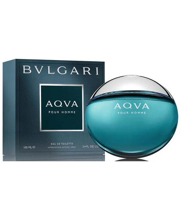 Bvlgari Aqva Pour Homme EDT 100ml Spray Euromil Int l