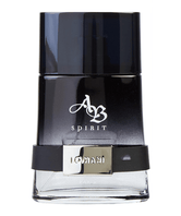 Lomani AB Spirit For Men EDT 100ml Spray